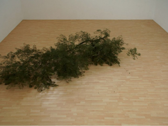 Fake Pine Branch on Fake Pine Floor, 2012