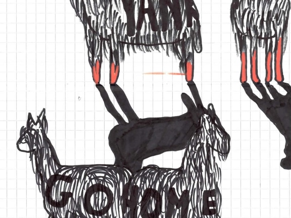 Dibujos Pasajeros (Llama Yankee), 2010