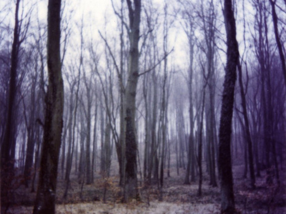 Forest Time (Forest), 1997-2001