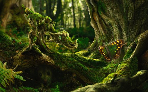 The Moss Dragon and the Butterfly