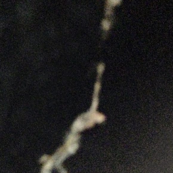 Steve Sabella, Independence 3, 2013