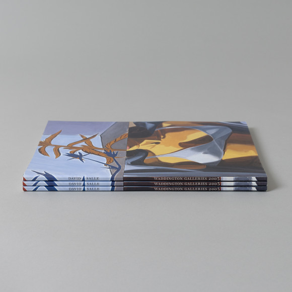 David Salle