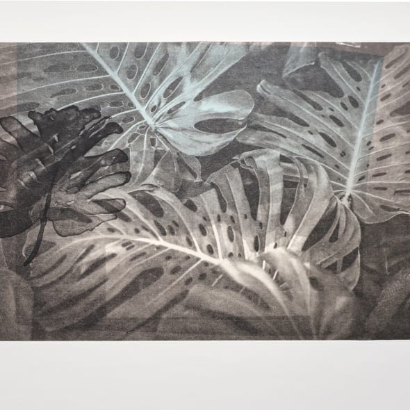 Sharon Lee RE - Monstera