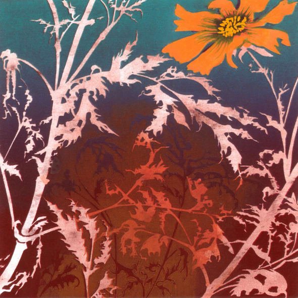 Julia Manning RE - My Dahlia Collection 2