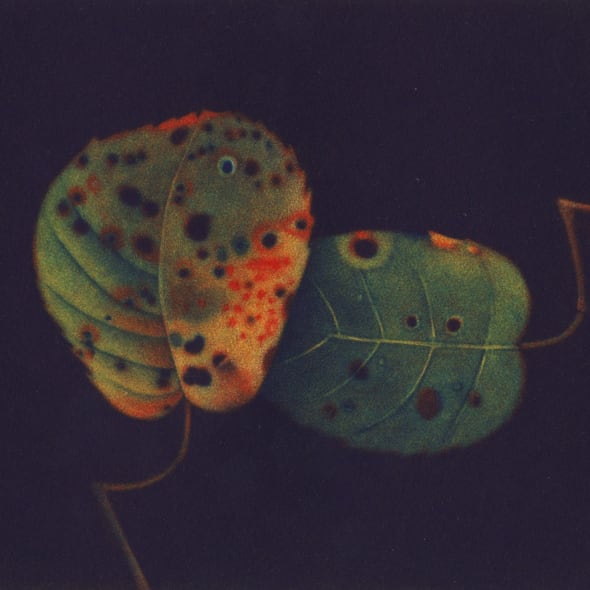 James McCreary ARE - Autumn Leaves II