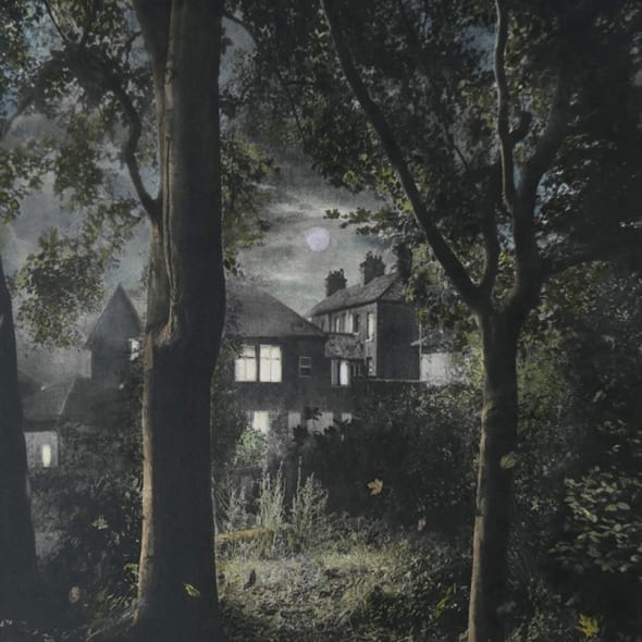 'Woods'
