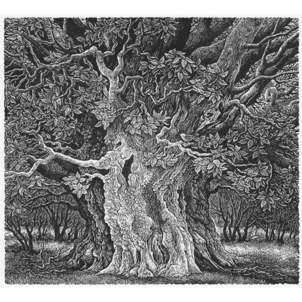 WOOD ENGRAVING DEMONSTRATION