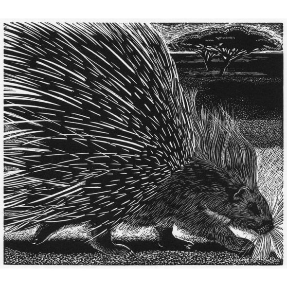 WOOD ENGRAVING DEMONSTRATION