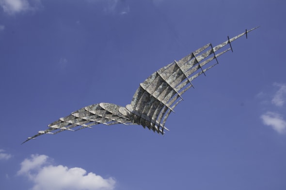 Gull wing Aeroplane