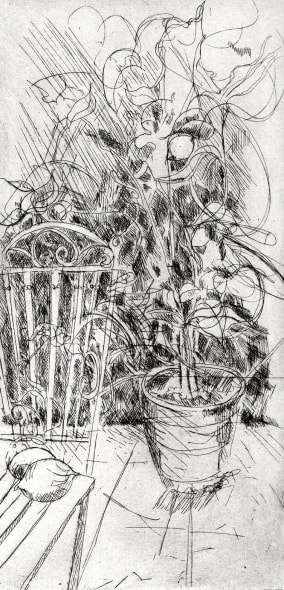 Lemon Tree