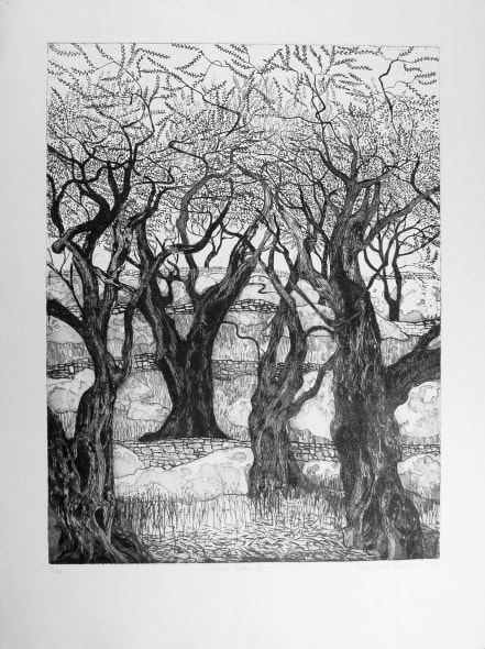 Olive Grove I (Corfu) (black & white)