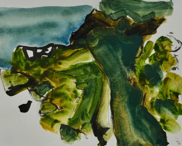 Coast Landscape