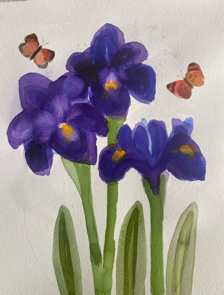 Iris & Butterflies