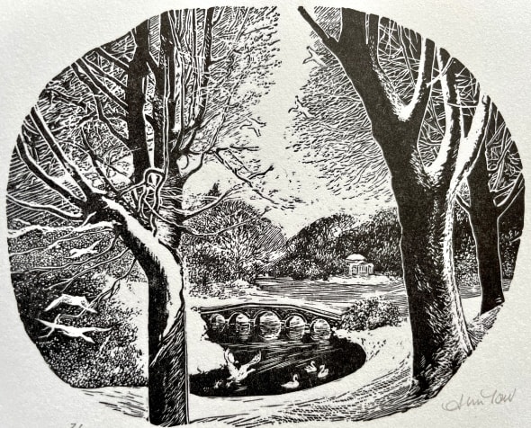 Across the Lake