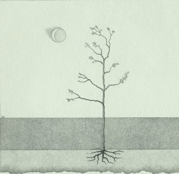 Moon, Tree & Granite Field