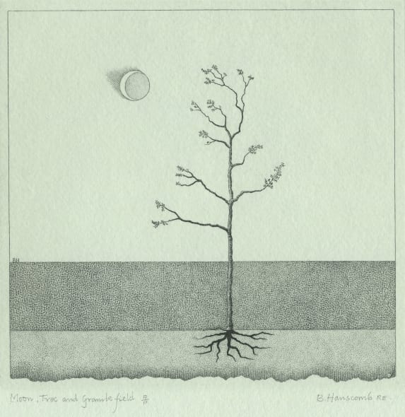 Moon, Tree & Granite Field