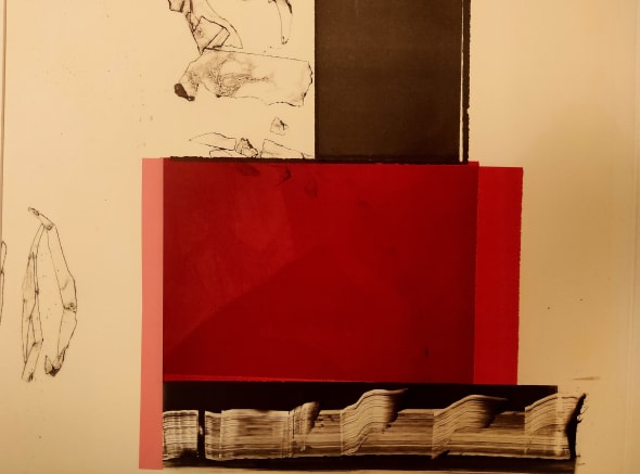 Finding Red 01