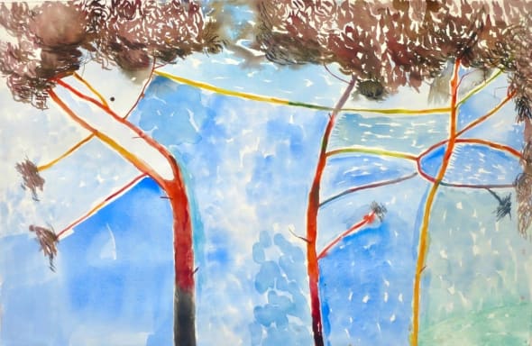 Trees Dancing Against the Sky