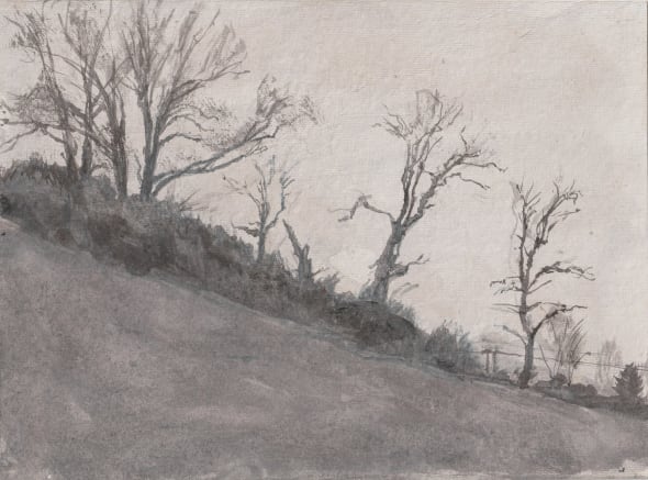 Black Cow Valley