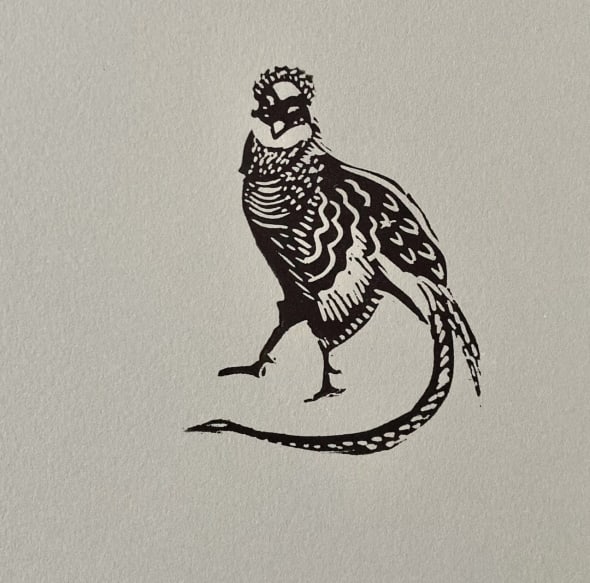 Pheasant