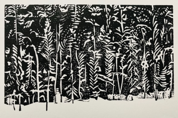 Forest Wall