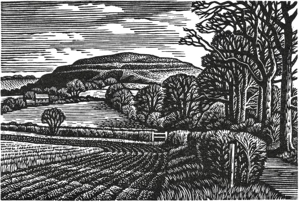 Hambledon Hill in Winter