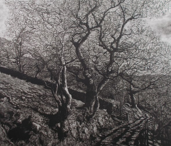 Swindale Spring 2019