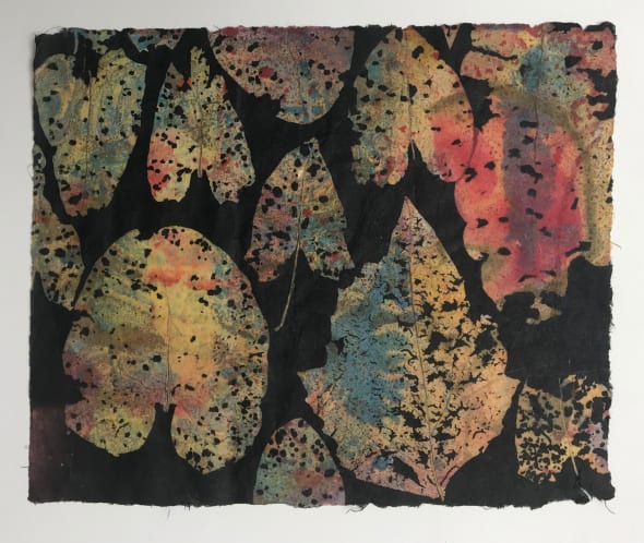 Damaged Leaves - Exotic