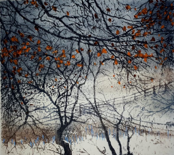 Privacy of Winter
