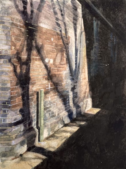 Shadows