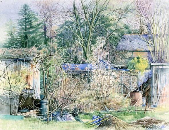 Spring at the Allotments