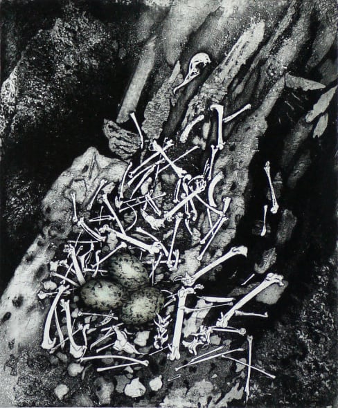 The Gothercatcher's Nest