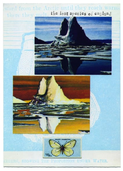 News from the Critical Zone: Black Veined White 1925