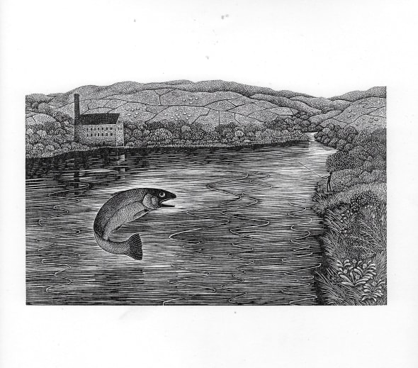 Leaping Trout