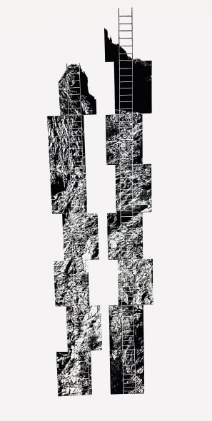 Tibetan Ladder, 2024