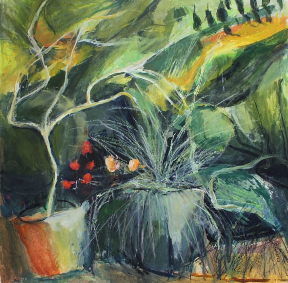 Poppies and Grasses 2023