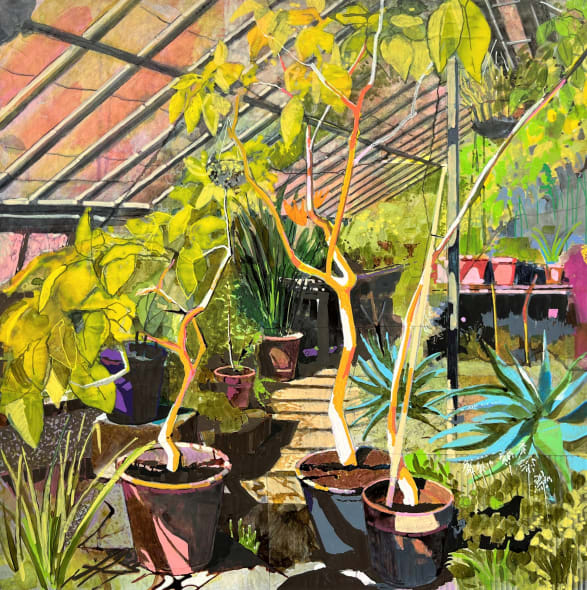 The Tropical Greenhouse, Chelsea Physic Garden