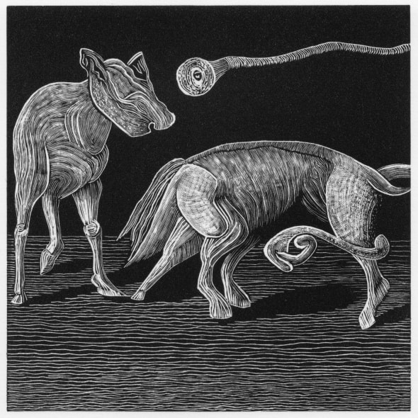Text Prompt: A General History of Quadrupeds III