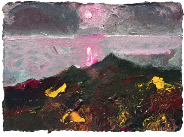Opera Rose with Velvet. Morte Point, Woolacombe, Devon.