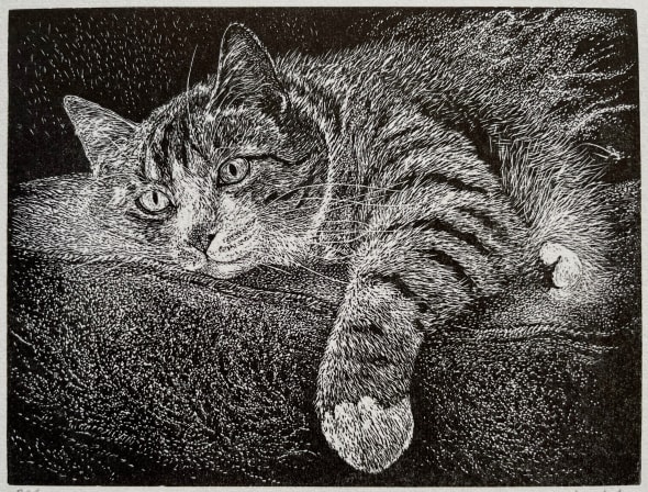 By the Fireside