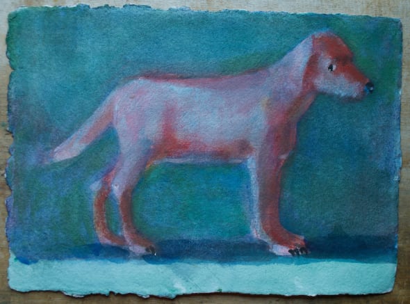 Red Dog
