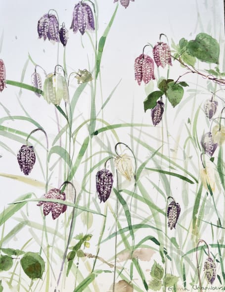 Fritillary and Brambles II