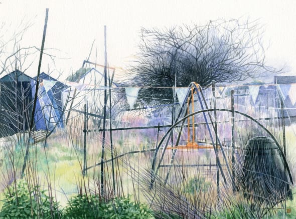 Winter at the Allotments