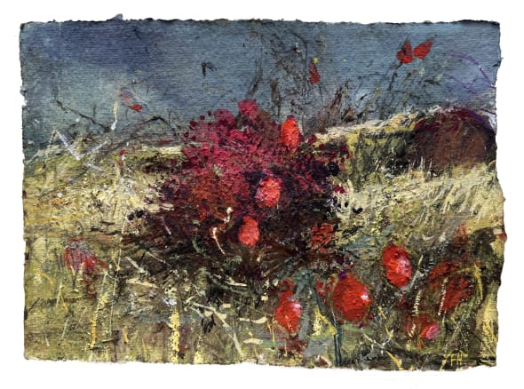 Hips and Haws and Swallows. Cogden Nature Reserve, Chesil, Dorset.