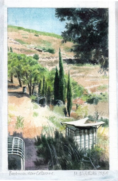 Beehives in Collioure