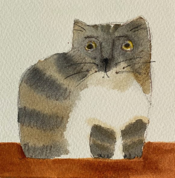 Little Tabby