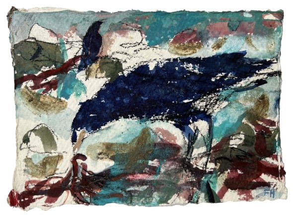 Crows Rockpools and Rain. Castle Cove Ledges, Weymouth.