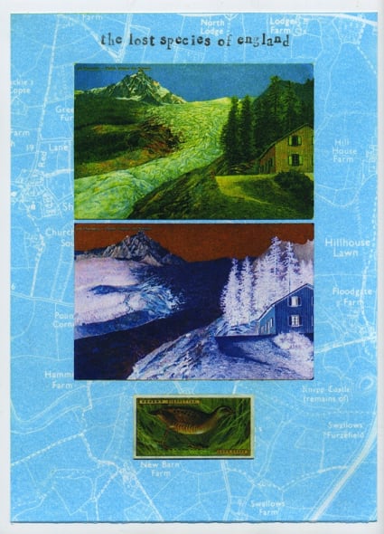 News from the Critical Zone: corncrake 1990's
