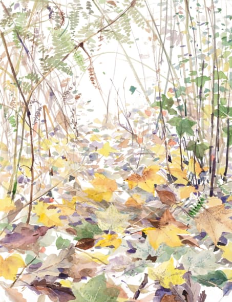 Under the Maple Tree