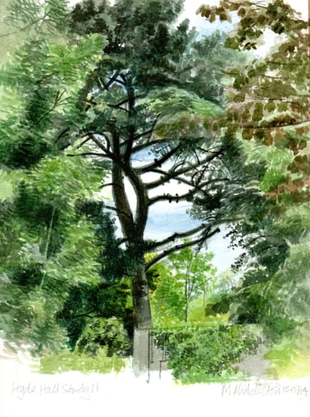 Hyde Hall Study 11